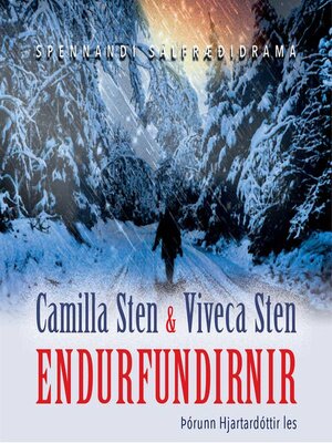 cover image of Endurfundirnir